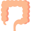 Intestine icon 64x64