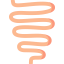 Intestine icon 64x64