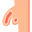 Penis icon 64x64
