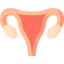 Uterus icon 64x64