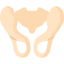 Pelvis 图标 64x64