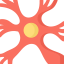 Neuron icon 64x64