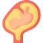 Fetus icon 64x64