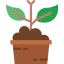 Plant 图标 64x64