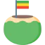 Coconut icon 64x64