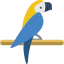 Parrot іконка 64x64