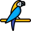 Parrot icon 64x64