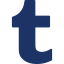 Tumblr icon 64x64