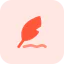 Feather icon 64x64