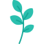 Plant icon 64x64
