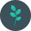 Plant icon 64x64