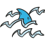 Shark 图标 64x64