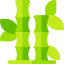 Bamboo 图标 64x64