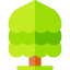 Tree 图标 64x64