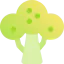 Fruit tree icon 64x64
