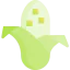 Corn icon 64x64