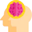 Brain ícono 64x64