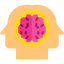 Learning ícono 64x64