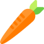 Carrot icon 64x64