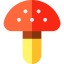 Mushroom 图标 64x64