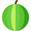 Watermelon icon 64x64