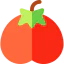 Tomato 图标 64x64