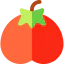 Tomato icon 64x64