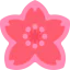 Sakura icon 64x64