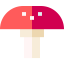 Fungi biểu tượng 64x64