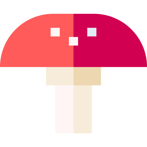 Fungi 상
