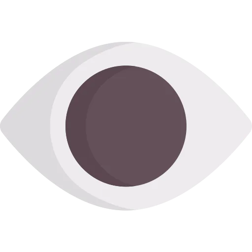 Visibility icon