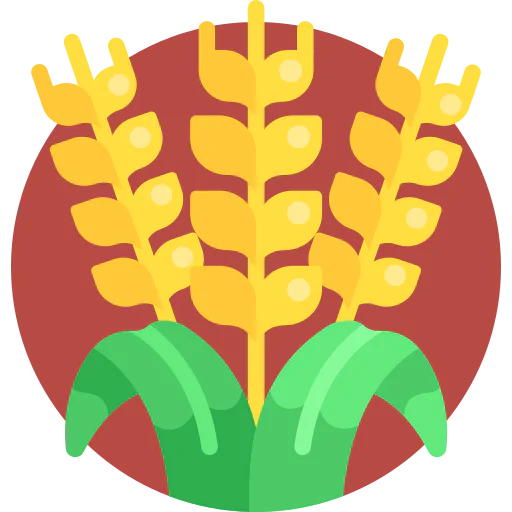 Wheat icon