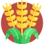 Wheat icon 64x64