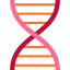Dna structure icon 64x64