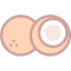 Coconut drink icon 64x64