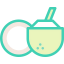 Coconut drink icon 64x64