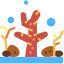 Coral ícone 64x64