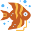 Angelfish ícone 64x64
