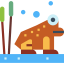 Frog Ikona 64x64