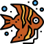 Angelfish icône 64x64