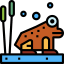 Frog 图标 64x64