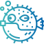 Puffer fish icon 64x64