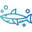 Shark icon 64x64
