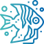 Angelfish icône 64x64