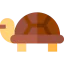 Turtle icon 64x64