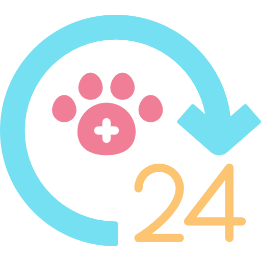 24 hours 상