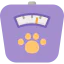 Scale icon 64x64