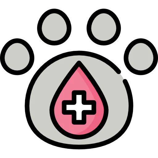 Blood donation icon