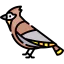 Bird icon 64x64