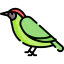 Woodpecker icon 64x64